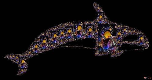 Dolphin