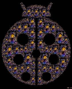 Ladybug
